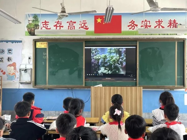 童心协力 守护地球 阜阳市颍东区插花镇二学区开展世界地球日系列活动