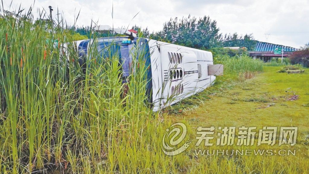 金淮村人口_淮村兵后诗的背景