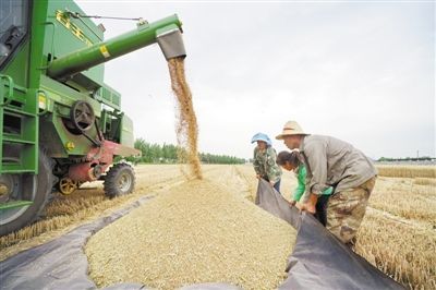 优质优价市场化粮食收购成主导