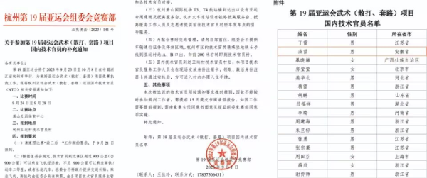 阜阳师范大学教师执裁杭州亚运会武术套路比赛