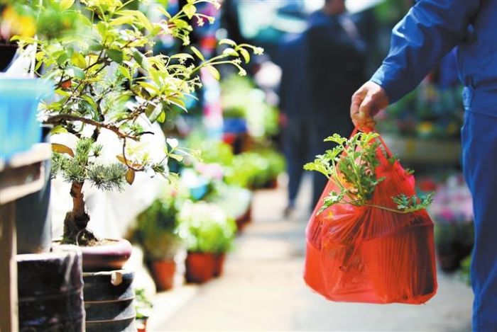 蕪湖:老花鳥市場拆除進入