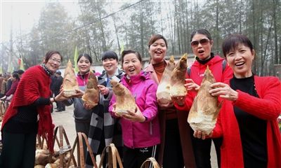 3月30日,歙縣徽城鎮在問政村舉辦